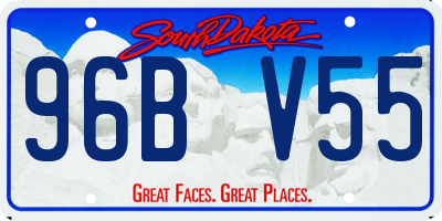SD license plate 96BV55