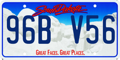 SD license plate 96BV56