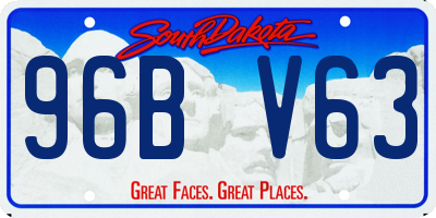 SD license plate 96BV63
