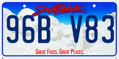 SD license plate 96BV83