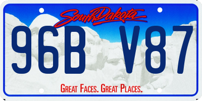 SD license plate 96BV87