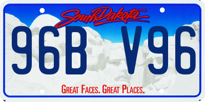 SD license plate 96BV96