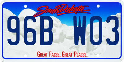 SD license plate 96BW03