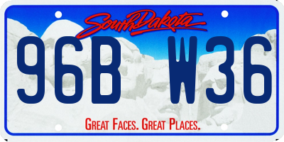 SD license plate 96BW36