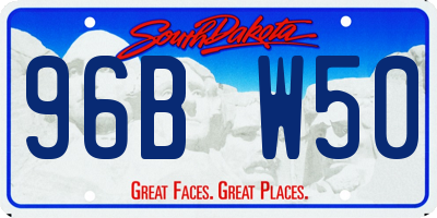 SD license plate 96BW50