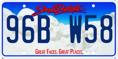 SD license plate 96BW58