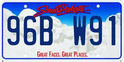 SD license plate 96BW91