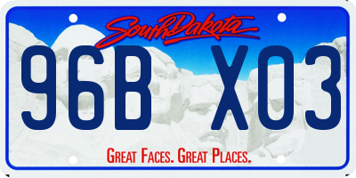 SD license plate 96BX03