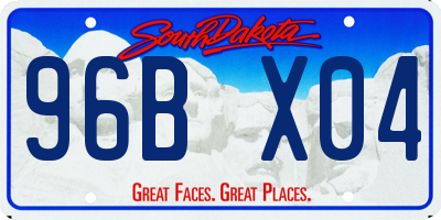 SD license plate 96BX04