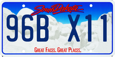 SD license plate 96BX11