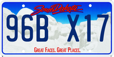SD license plate 96BX17