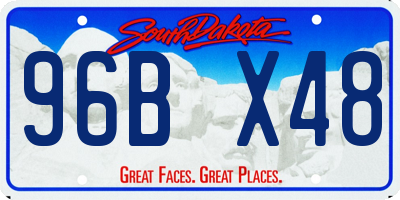 SD license plate 96BX48