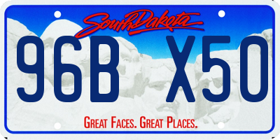 SD license plate 96BX50