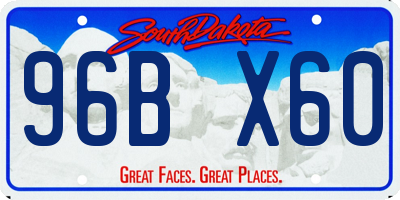 SD license plate 96BX60