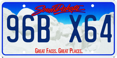 SD license plate 96BX64