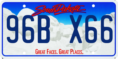 SD license plate 96BX66