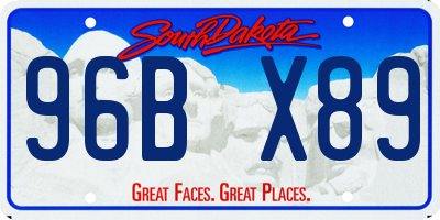 SD license plate 96BX89