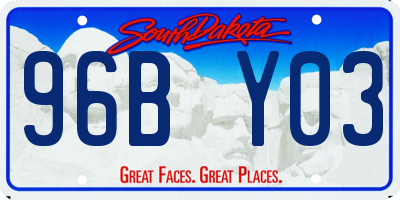 SD license plate 96BY03