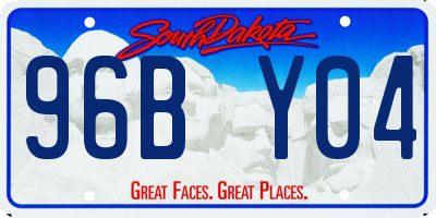 SD license plate 96BY04