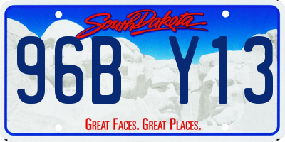 SD license plate 96BY13