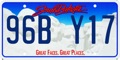 SD license plate 96BY17