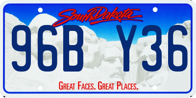 SD license plate 96BY36