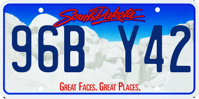 SD license plate 96BY42