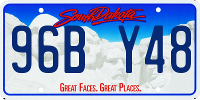 SD license plate 96BY48