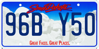 SD license plate 96BY50