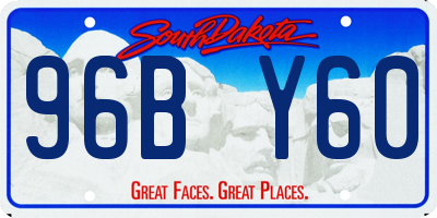 SD license plate 96BY60