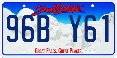 SD license plate 96BY61