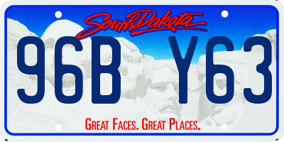 SD license plate 96BY63