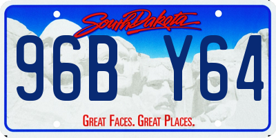 SD license plate 96BY64