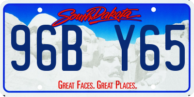 SD license plate 96BY65
