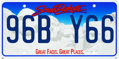 SD license plate 96BY66
