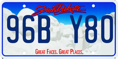 SD license plate 96BY80