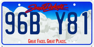 SD license plate 96BY81