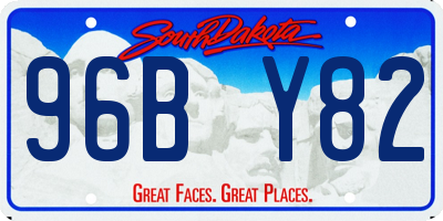 SD license plate 96BY82