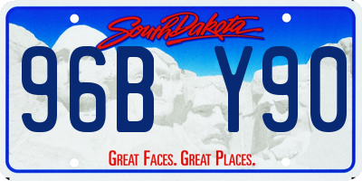 SD license plate 96BY90