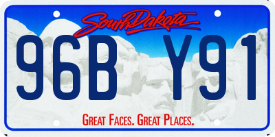 SD license plate 96BY91
