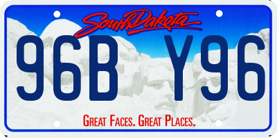 SD license plate 96BY96