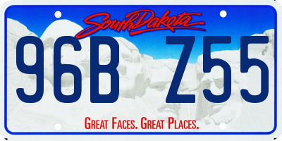 SD license plate 96BZ55