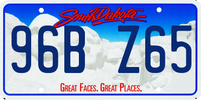 SD license plate 96BZ65