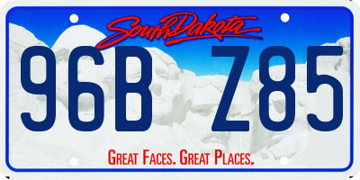 SD license plate 96BZ85