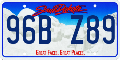 SD license plate 96BZ89