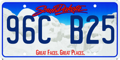 SD license plate 96CB25