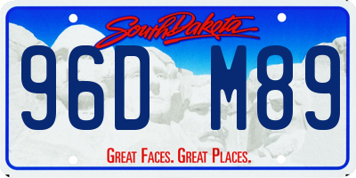 SD license plate 96DM89
