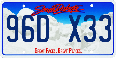 SD license plate 96DX33