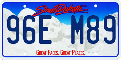 SD license plate 96EM89