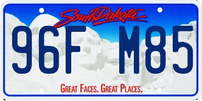 SD license plate 96FM85